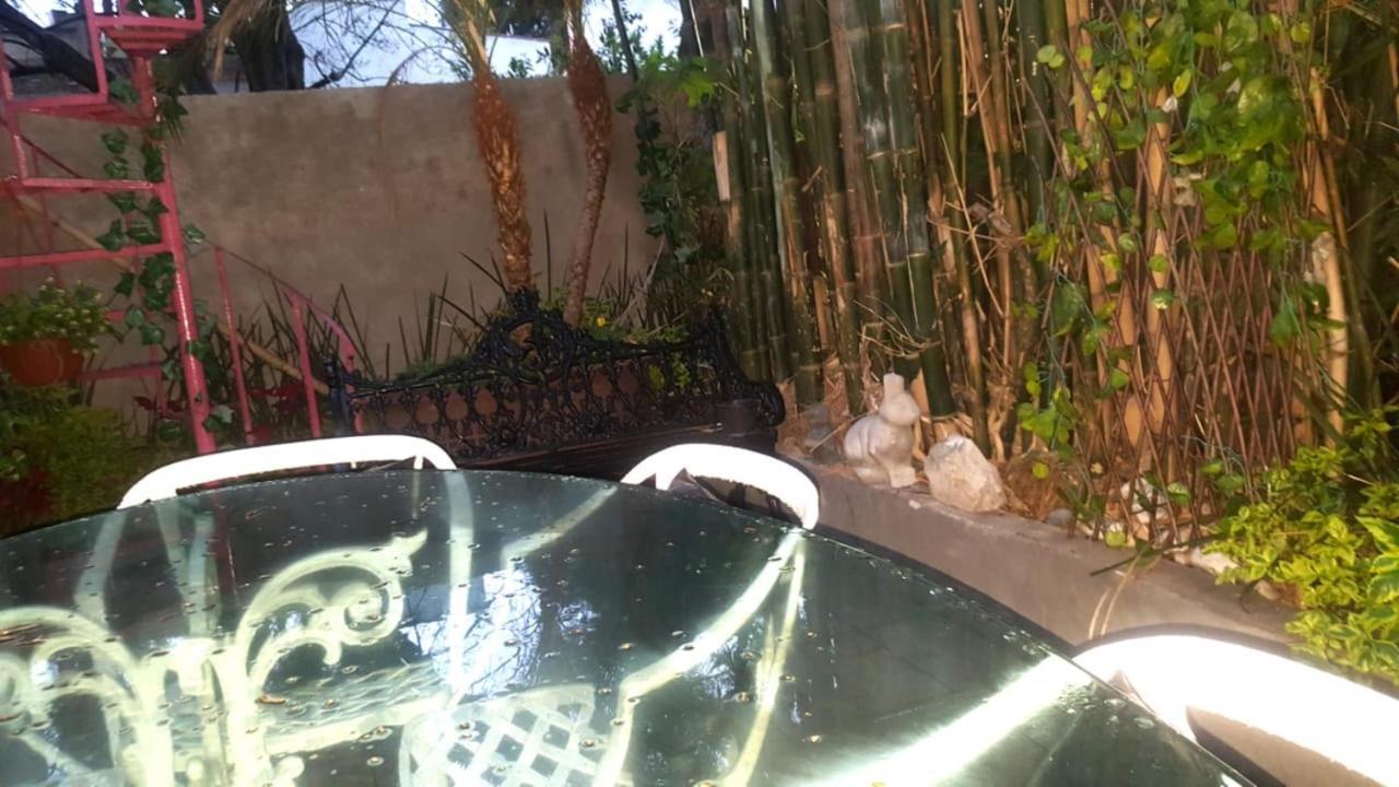ホテルMi Aldea Holistica メキシコシティ エクステリア 写真